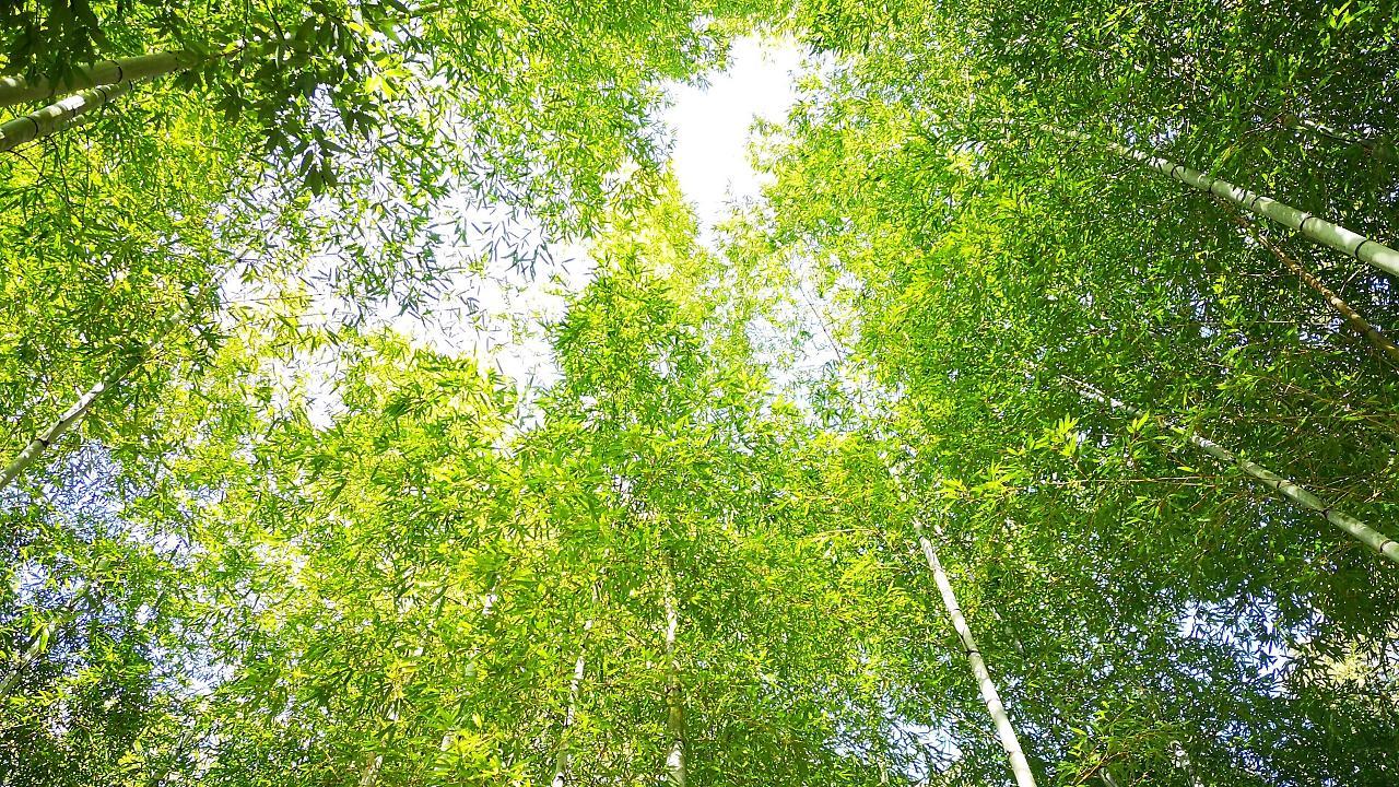Yugashima Tatsuta Ξενοδοχείο Ίζου Εξωτερικό φωτογραφία